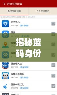 揭秘蓝码身份，一键百度解答你的所有疑惑