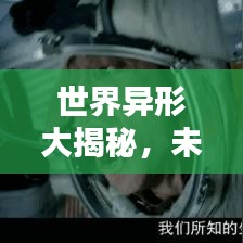 世界异形大揭秘，未知生命形态的神秘探索