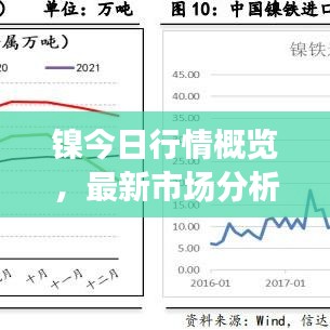 镍今日行情概览，最新市场分析与趋势展望