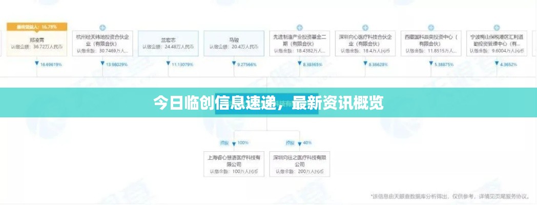 今日临创信息速递，最新资讯概览