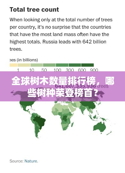 全球树木数量排行榜，哪些树种荣登榜首？