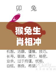 猴兔生肖相冲真相揭秘，生肖文化背后的奥秘探究