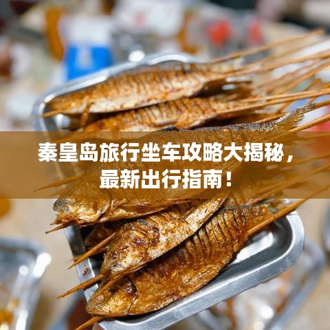 秦皇岛旅行坐车攻略大揭秘，最新出行指南！