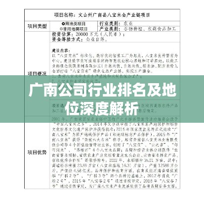 广南公司行业排名及地位深度解析