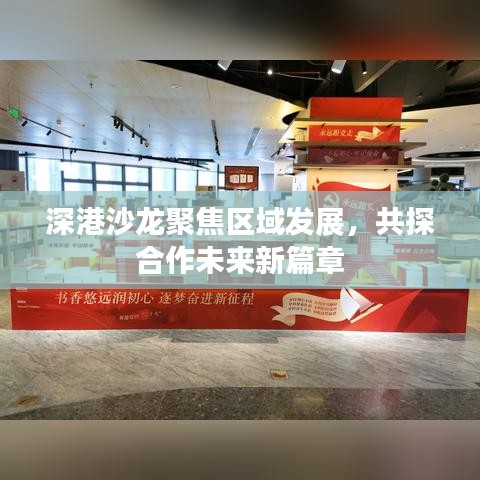 深港沙龙聚焦区域发展，共探合作未来新篇章