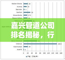嘉兴管道公司排名揭秘，行业深度分析与评估