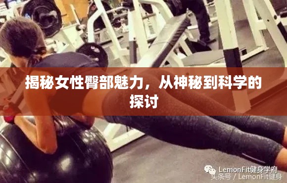 揭秘女性臀部魅力，从神秘到科学的探讨