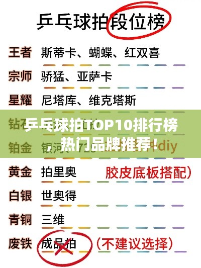 乒乓球拍TOP10排行榜，热门品牌推荐！