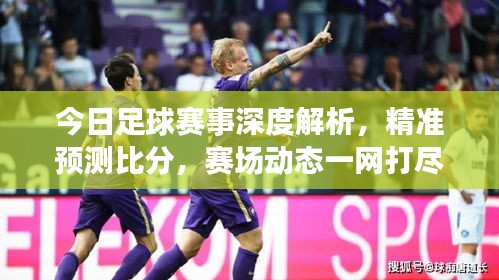 今日足球赛事深度解析，精准预测比分，赛场动态一网打尽！