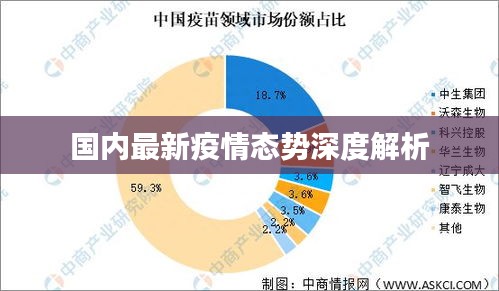 国内最新疫情态势深度解析