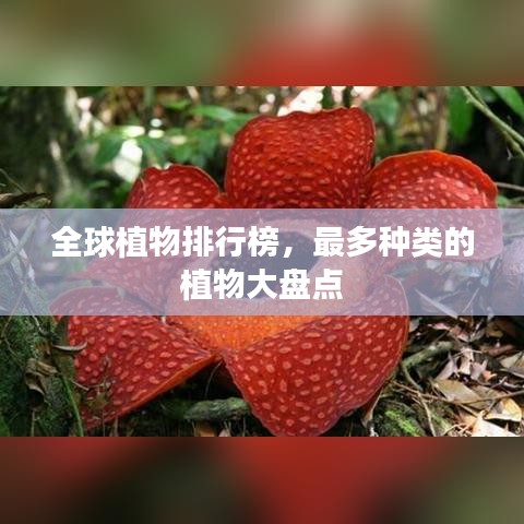 全球植物排行榜，最多种类的植物大盘点