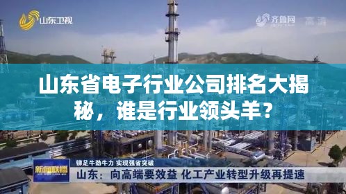 山东省电子行业公司排名大揭秘，谁是行业领头羊？