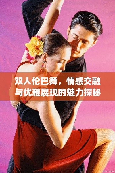双人伦巴舞，情感交融与优雅展现的魅力探秘
