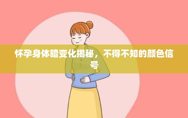 怀孕身体暗变化揭秘，不得不知的颜色信号