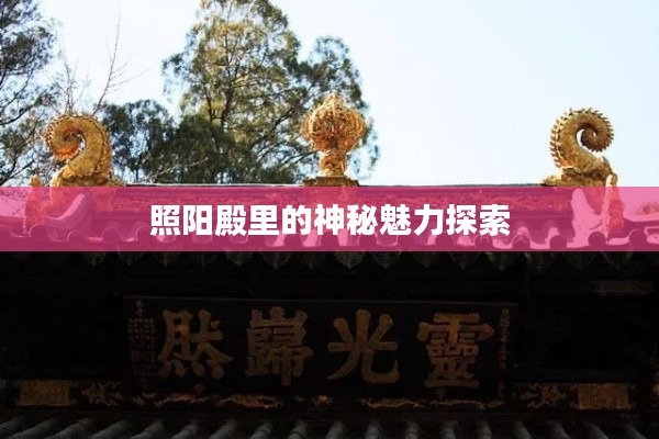 照阳殿里的神秘魅力探索