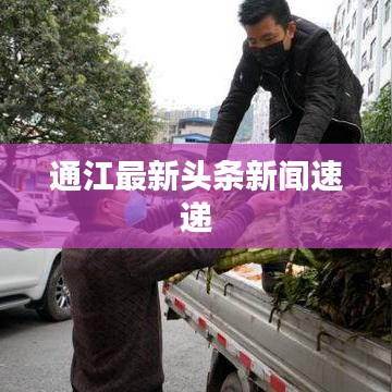 通江最新头条新闻速递