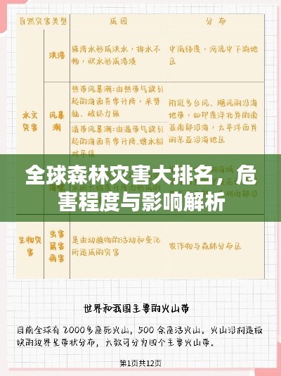 全球森林灾害大排名，危害程度与影响解析