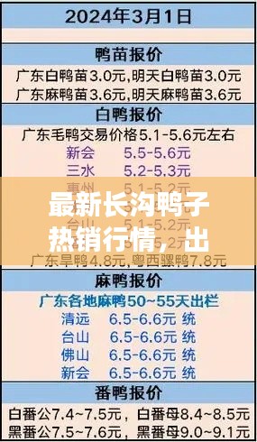 最新长沟鸭子热销行情，出售信息及价格概览