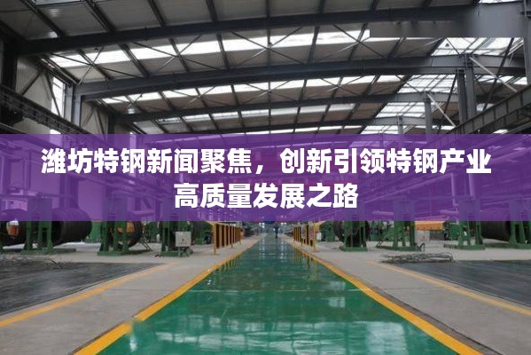 潍坊特钢新闻聚焦，创新引领特钢产业高质量发展之路