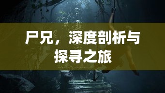 尸兄，深度剖析与探寻之旅