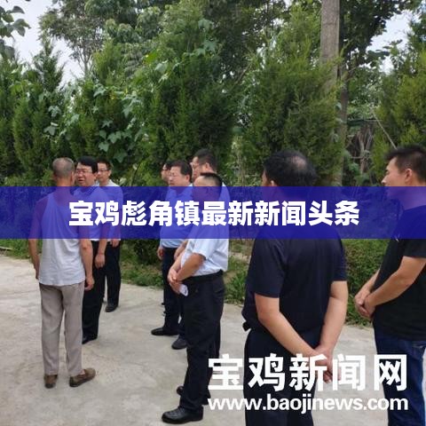 宝鸡彪角镇最新新闻头条