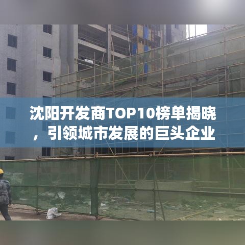 沈阳开发商TOP10榜单揭晓，引领城市发展的巨头企业