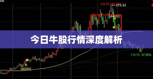 今日牛股行情深度解析