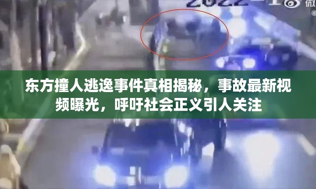 东方撞人逃逸事件真相揭秘，事故最新视频曝光，呼吁社会正义引人关注