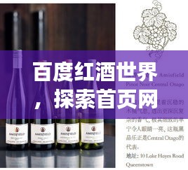百度红酒世界，探索首页网址的神秘与红酒魅力之旅