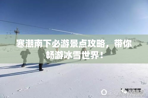 布衣蔬食