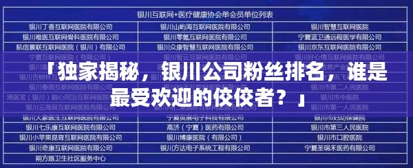 「独家揭秘，银川公司粉丝排名，谁是最受欢迎的佼佼者？」
