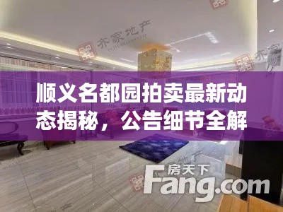 顺义名都园拍卖最新动态揭秘，公告细节全解析