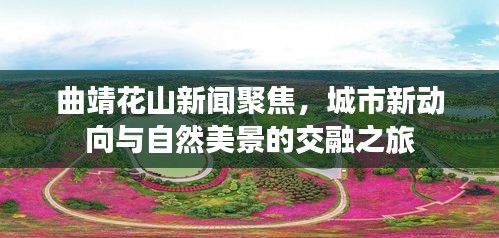 曲靖花山新闻聚焦，城市新动向与自然美景的交融之旅