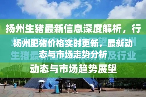 扬州肥猪价格实时更新，最新动态与市场走势分析
