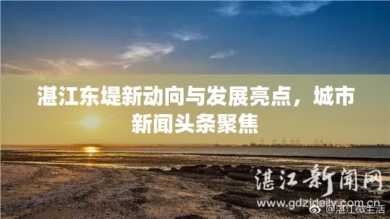 湛江东堤新动向与发展亮点，城市新闻头条聚焦
