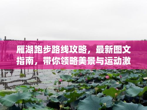 雁湖跑步路线攻略，最新图文指南，带你领略美景与运动激情！