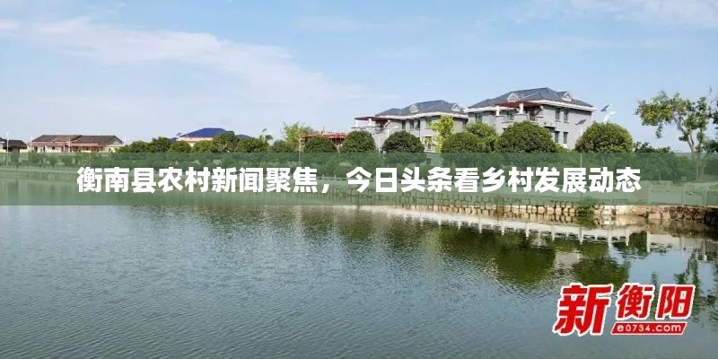 衡南县农村新闻聚焦，今日头条看乡村发展动态