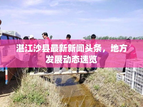 湛江沙县最新新闻头条，地方发展动态速览