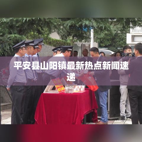 平安县山阳镇最新热点新闻速递