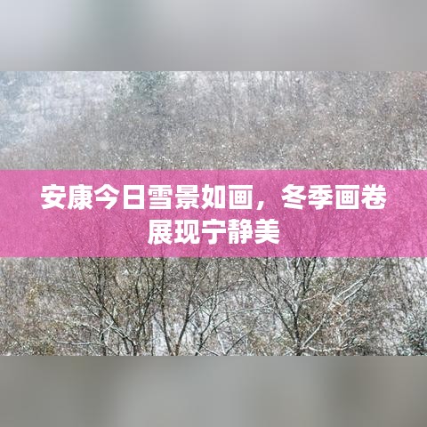 安康今日雪景如画，冬季画卷展现宁静美