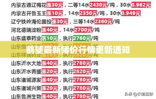 鹤壁最新猪价行情更新通知
